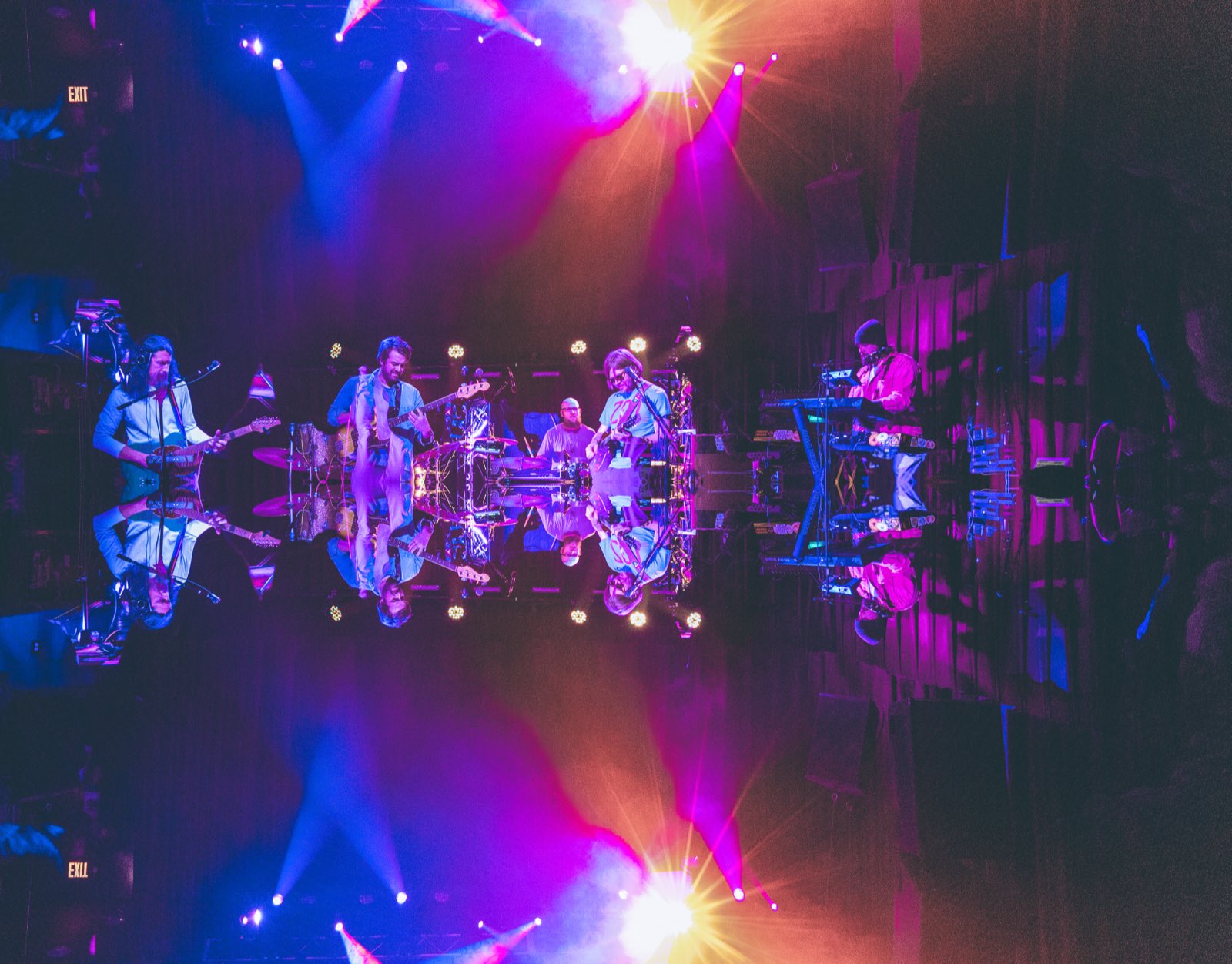 Houseplant performing on stage in a mirrored double-exposure composition under magenta, purple, and yellow stage lighting